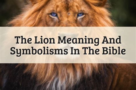 Comparing Aslan to Other Lion Characters in Literature